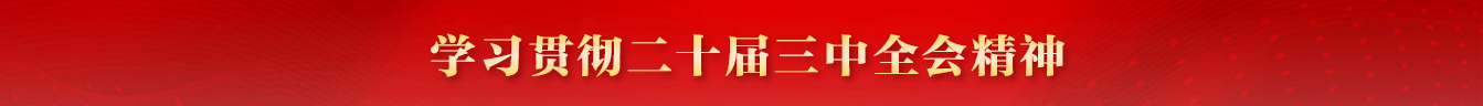 學習貫徹二十屆三中全會精神